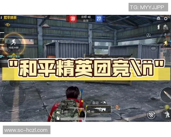 和平精英巨献：深入分析TES战队心理素质与竞技表现的关系